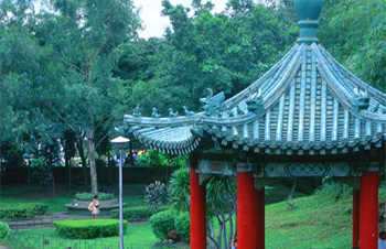 Chinese Garden