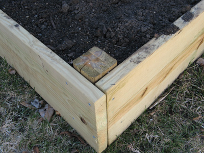 Top off with compost